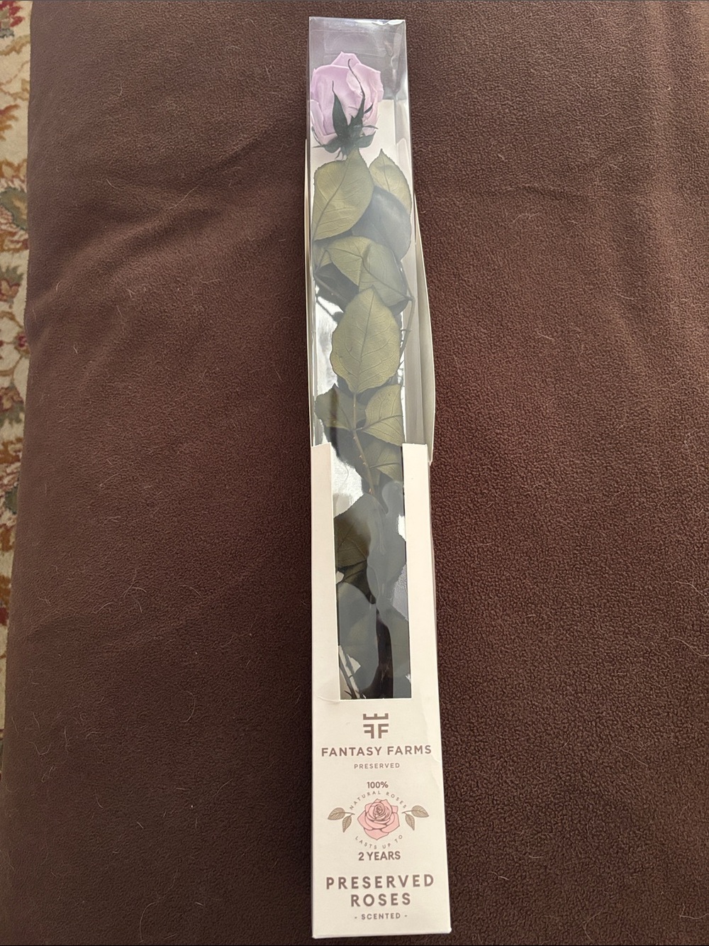 NIB Preserved lavender Rose - Long Stem fantasy farms